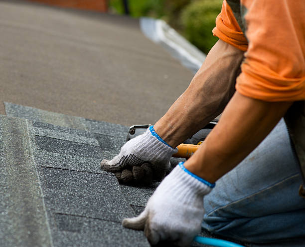 Best Shingle Roofing Installation  in Parker City, IN